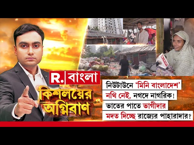 Mushukdagi juda katta sik