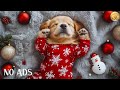 Christmas Dog Calming Music 12 HOURS 🐶🎄 Sleep Therapy &amp; Anti-Anxiety Relaxation ❄️ No Ads
