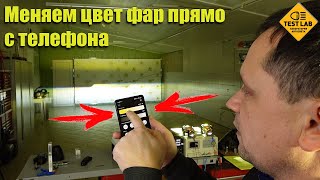 :      !    Biled !