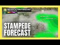Stampede Forecast: What to expect on opening weekend | #forecast