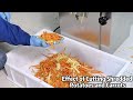 YQC Multi-Function Vegetable Cutter