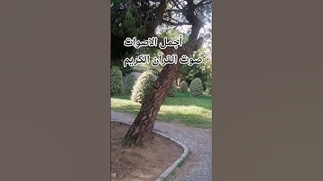 قران كريم 🌹🤲😍😘بصوت جميل للشيخ اسلام صبحي سورة البقرة #islamsobhi 🌹🌺💐#المصحف #راحة_نفسية #تصويري