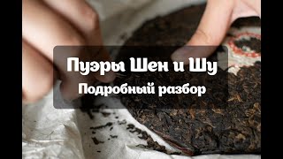видео: В чем отличие темных и светлых пуэров картинка: В чем отличие темных и светлых пуэров