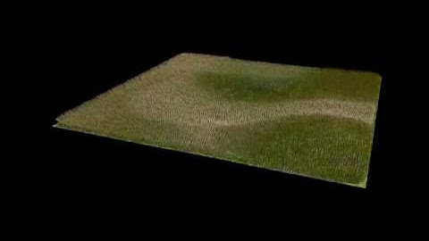 xgen grass maya file