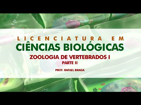 Vídeo: Clones Entre Nós: Como Os Cientistas Explicam A Imaculada Concepção Em Vertebrados - Visão Alternativa