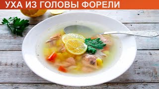 КАК СВАРИТЬ УХУ ИЗ ГОЛОВЫ ФОРЕЛИ? Вкусный и простой рыбный суп уха из головы и хвоста форели