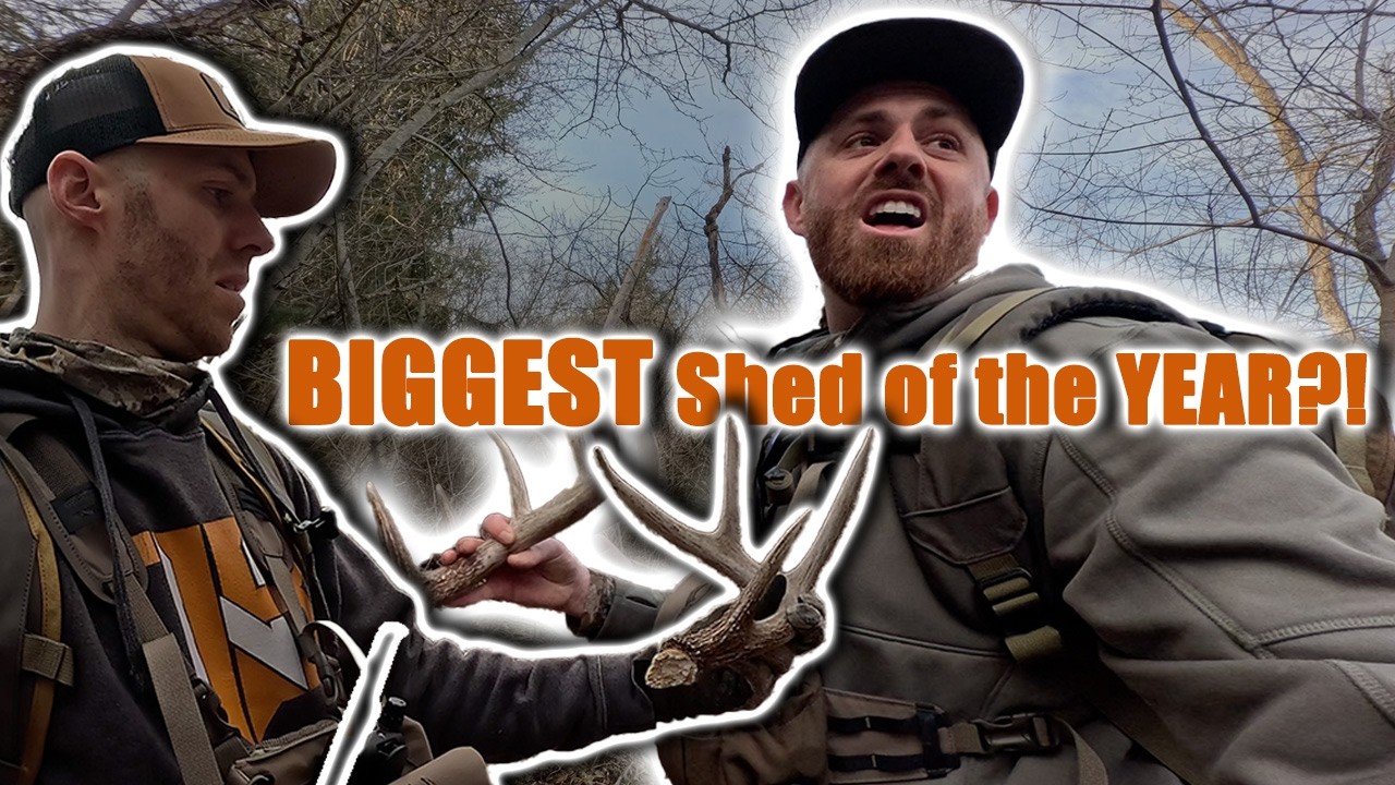 INSANE Ohio Shed Hunting Day! 7 Antlers & a Heavy 8 Point (Public Land)