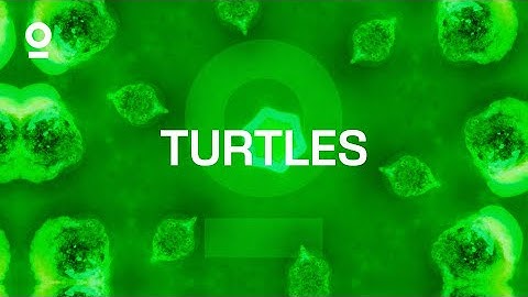 Toxic Machinery & USH - Turtles (Official Visualizer)