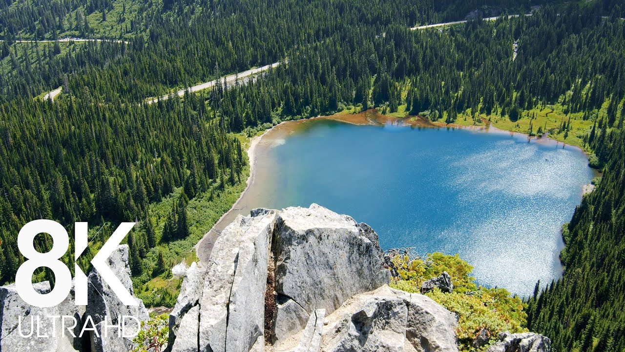8 HOURS of Cheerful Birds' Chirping - 8K Amazing Mountain View  Mount Rainier National Park