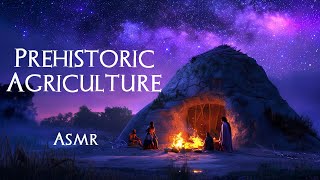 Neolithic Revolution: How Agriculture Began (ASMR Story for Sleep) screenshot 5
