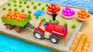 top most creative diy mini tractor Tomato Farming pough machine | science project