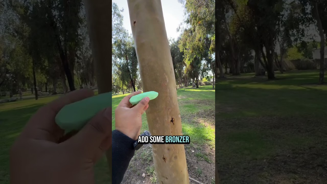 MAKEUP ON A TREE ⁉️