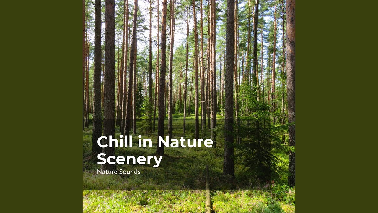 Soft Gentle Splashes