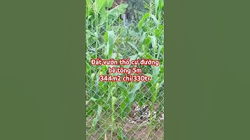 Đất vườn có thổ cư đường bê tông rộng 5m diện tích 344m2 chỉ 330tr #nhadatnhatrang #nhatrangnhadat