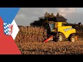Körnermaisernte 2020 | New Holland CR 8.80 | Deutz Agrotron M 625 Profiline + Krampe Big body 540