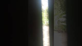 rain round effect