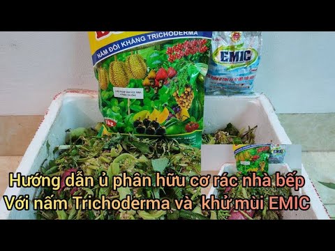Video Ủ rác nhà bếp đơn giản và hiệu quả với nấm Trichoderma... - youtube