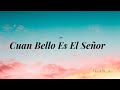 Cuan Bello Es El Señor / Saxofón Alto / Fernando Ochoa Valencia / Audio