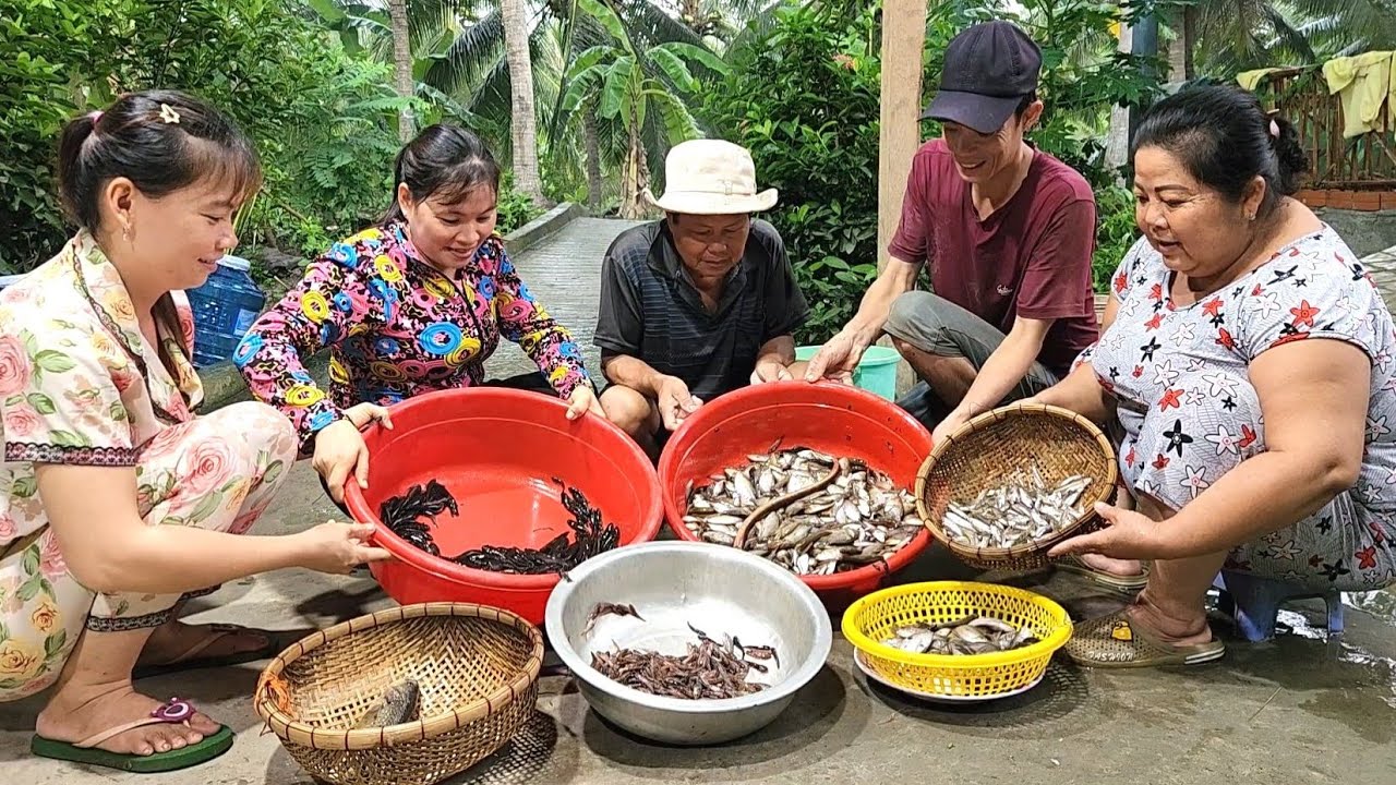 Quá Sức Tưởng Tượng Chỉ Sau Một Đêm Mưa Lớn Đổ Lú Mà Cá Dính Cỡ Này | TKQ & Family T1756