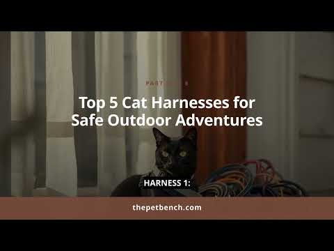 Watch: 5 Best Cat Harnesses for Safe Outdoor Fun
