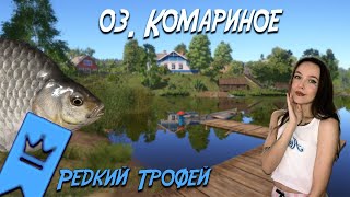 РУССКАЯ РЫБАЛКА 4. РЕДКИЙ ТРОФЕЙ КАРАСЯ СЕРЕБРЯНОГО. ОЗЕРО КОМАРИНОЕ .