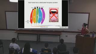 Yale Pathways 2019 - Sensory Physiology - Sense of Taste