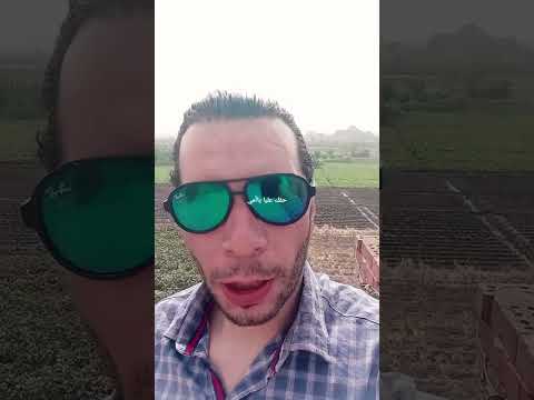 حقك عليا ياأمي الشاعر محمد فتحى السباعى