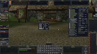 Everquest UI ViewPort