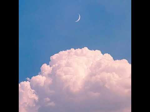 [1 hour Music] Céline Dion - That's The Way It Is