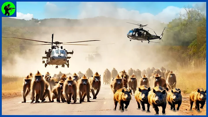 How Do Iowa Hunters And Farmers Deal With Millions Of Wild Boar And Invasive Deer By Guns