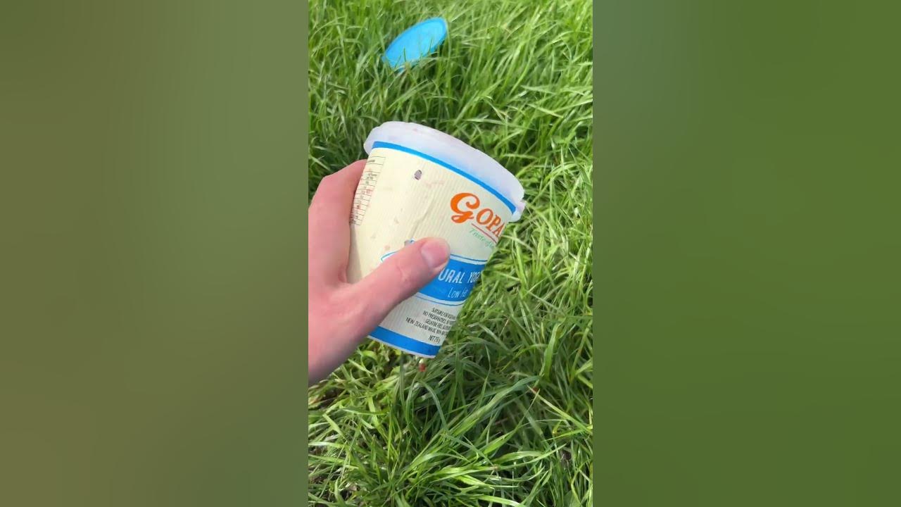 .177 air rifle vs 22lr YouTube