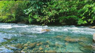 Natural River Flow Sounds | No Music No Talking | Pure Water Ambience for Sleep Cozy Ember ASMR 🌊