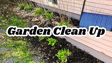 SMALL GARDEN CLEAN UP  TINY TIDY TUESDAY