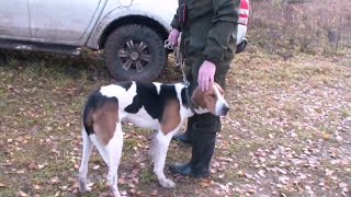 РПГ Габой вл Масюк А.В. состязания осенние голоса на Вятке