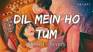 Dil Mein Ho Tum (Slowed   Reverb) | Armaan Malik | Why Cheat India | SR Lofi