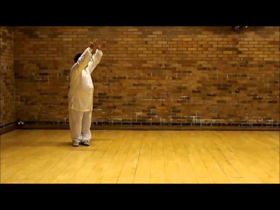 Sunshi Ding Shi Bagua Zhang (Fixed Position Bagua Qigong)