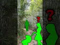 神隠し?神社を訪れた女性が忽然と姿を消した【赤城神社主婦行方不明事件】#shorts