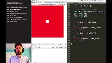 CP1: Interactivity in P5JS – Keyboard Input