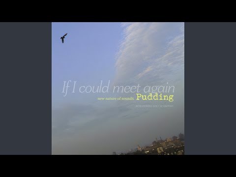 If I Could Meet Again (Remastered 2021)