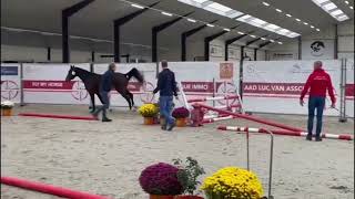 Valou Bv - Winner Belgian Youngster Trials 2Yo