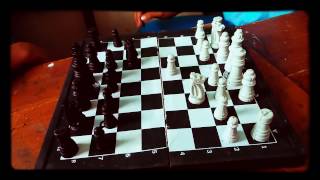 CATUR MASTER!  SKAK MAT UNDER 5 MINUTES [Tutorial]