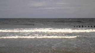 Jenny M Carter shipwreck @ Salisbury Beach