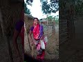 kathal todne Aaye Hain #nagpurireels #nagpurishorts #nagpuri #shorts #reels #minivlog #ntmasti