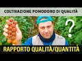 Rapporto qualità quantità Coltivazione Pomodoro