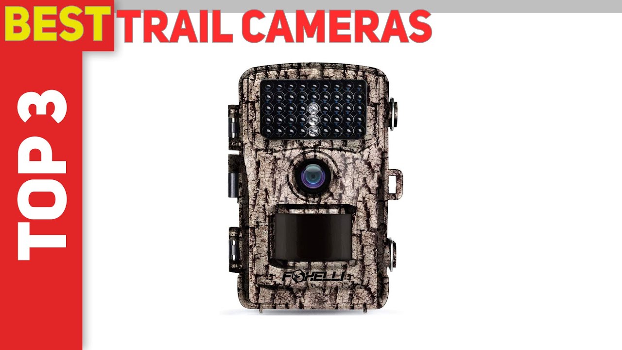 Top 3 Best Trail Cameras in 2022?