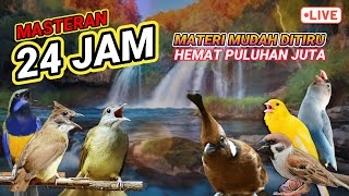 Download Mp3 #8 MASTERAN AMPUH MUDAH DITIRU UNTUK BURUNG FIGHTER - 24 JAM NONSTOP‼️