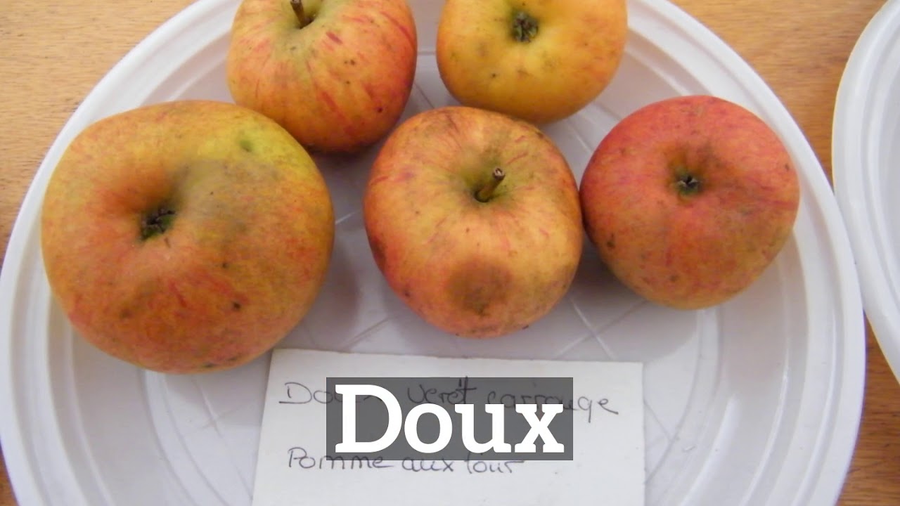 How Does Doux Look How To Say Doux In English What Is Doux YouTube How Does Doux Look How To Say Doux In English What Is Doux YouTube