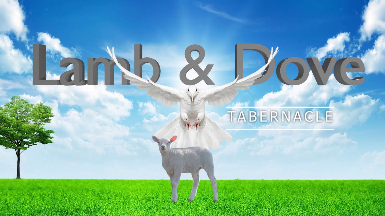 All Night Service | 20-02-2026