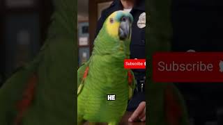 Flirty Parrot In The Police Breakroom