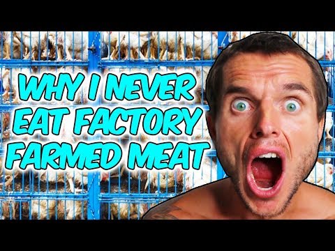 why-i-never-eat-factory-farmed-meats!!!!!---carnivore-based-diet